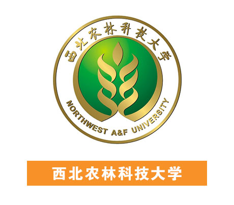 幸运彩(中国区)官方网站